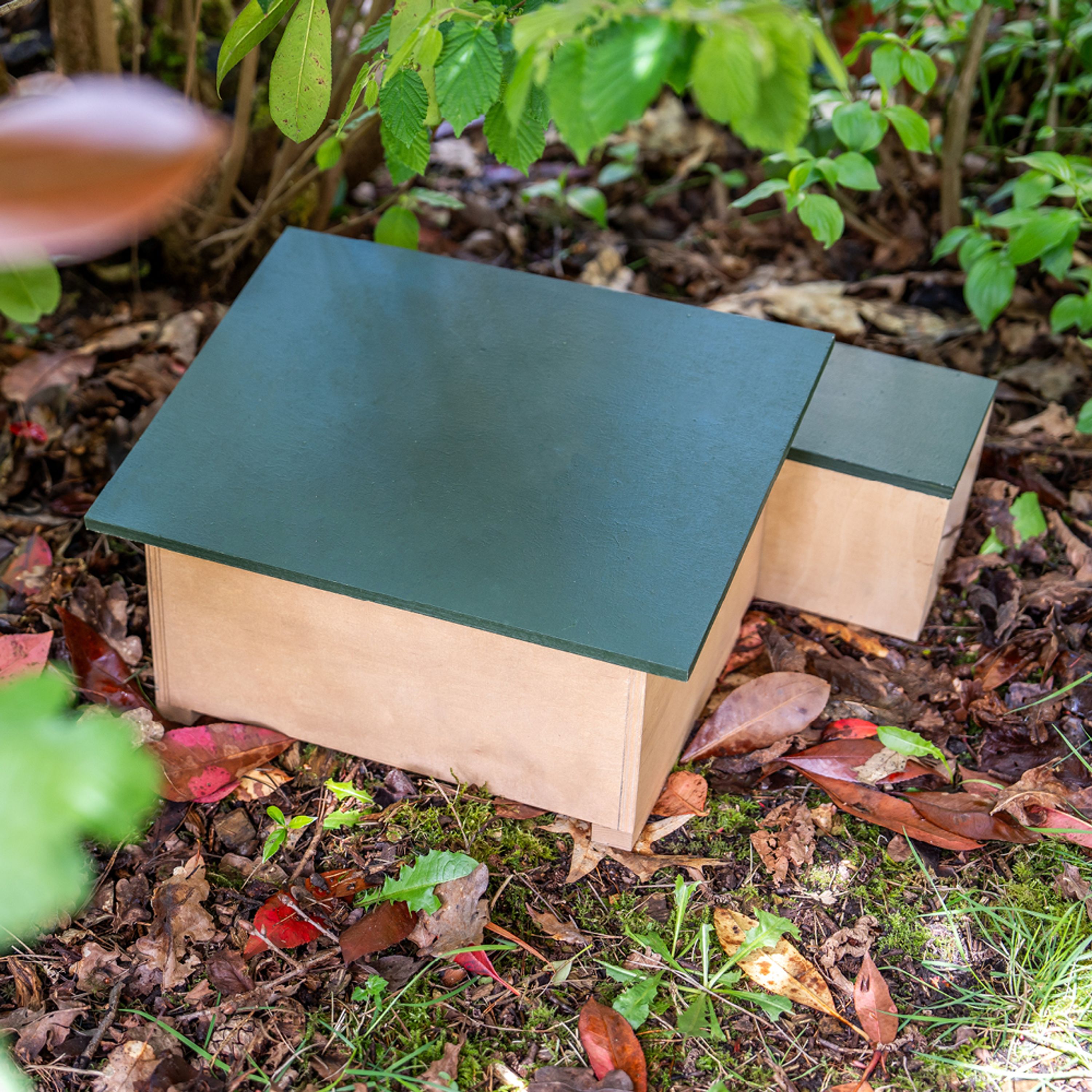 Igelschutzhaus | CJ Wildlife